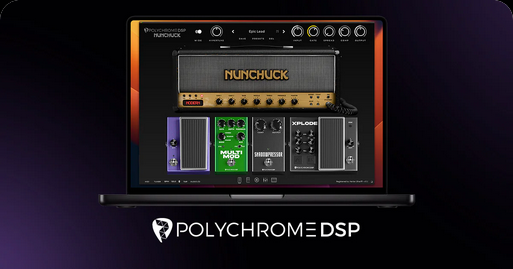 Polychrome DSP Nunchuck